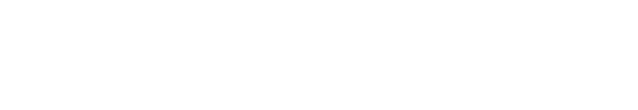 Blue Knight Cyber Solutions Logo